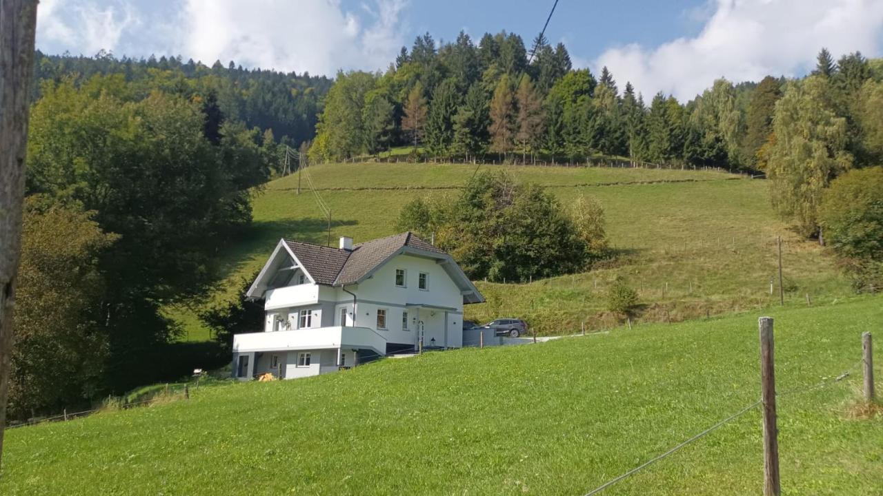 Aparts Lakeview -Gerlitzen -Ossiacher See -Ski Tratten  Exteriör bild